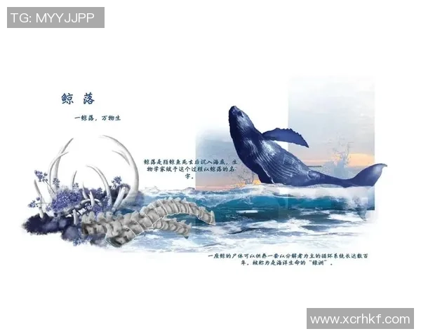 崔永熙的艺术人生探索与创作历程中的灵感与挑战