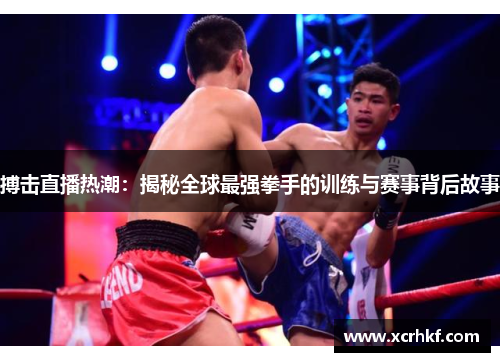 搏击直播热潮：揭秘全球最强拳手的训练与赛事背后故事