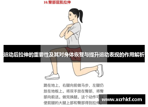 运动后拉伸的重要性及其对身体恢复与提升运动表现的作用解析